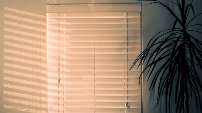 Van transparant tot verduisterend: raamdecoratie afgestemd op je behoefte