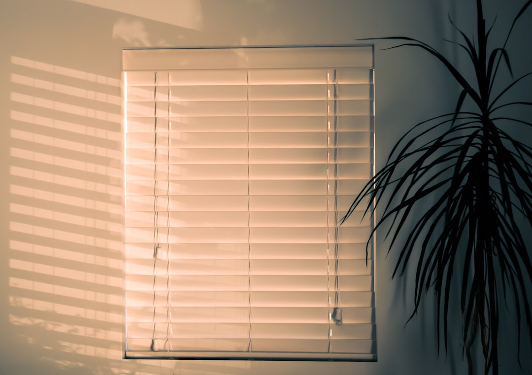 Van transparant tot verduisterend: raamdecoratie afgestemd op je behoefte