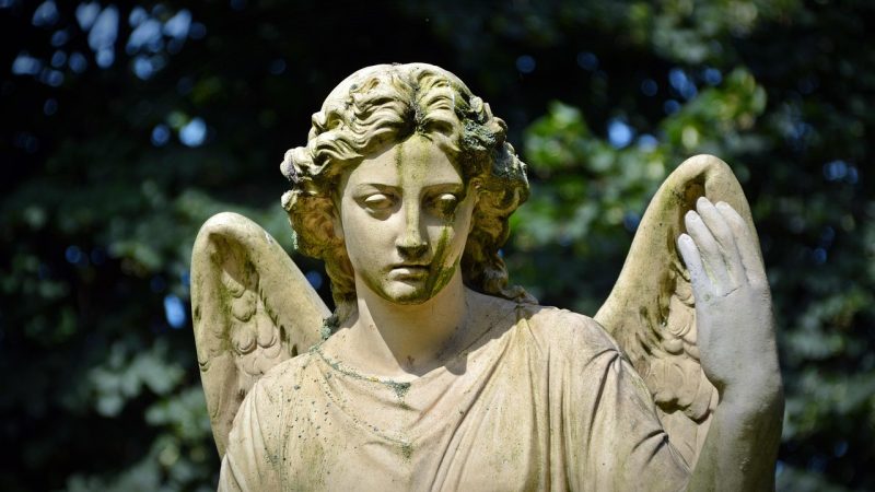 Organische sculpturale vormen in lentetuinontwerp