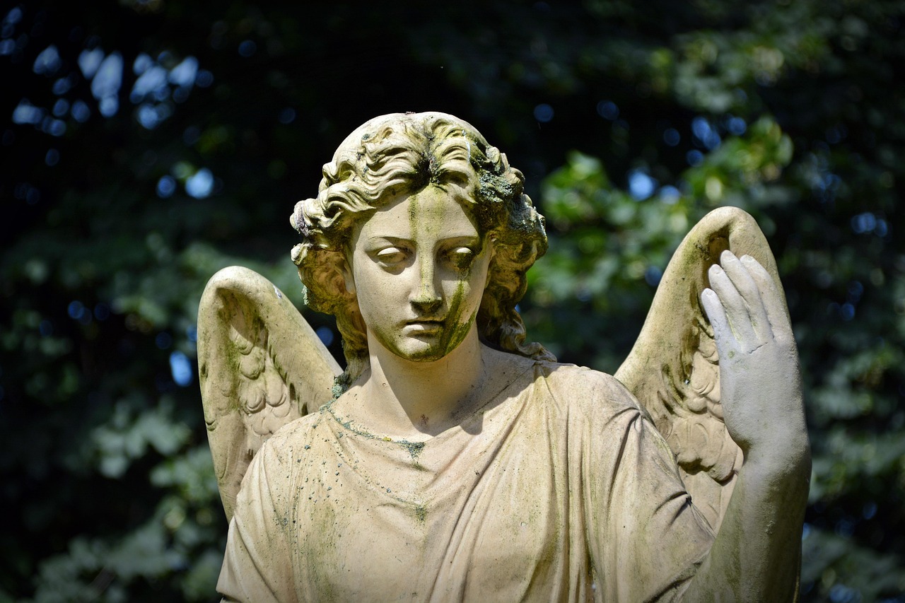 Organische sculpturale vormen in lentetuinontwerp