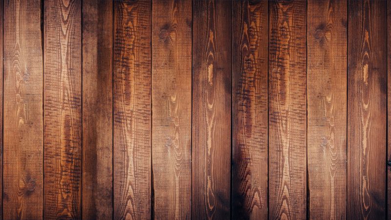 Biophilic design uitleg: de wetenschap achter natuur en welzijn