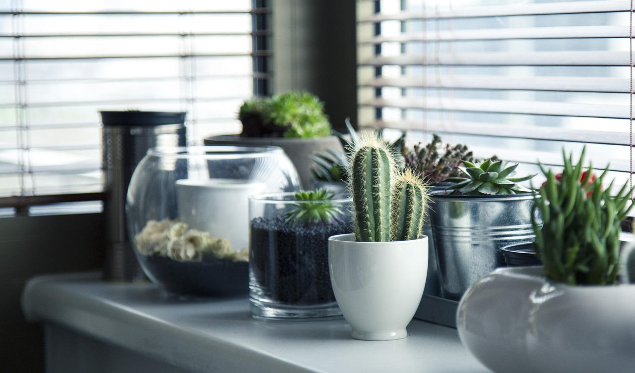 Compacte stedelijke jungles: binnenplanten voor klein wonen