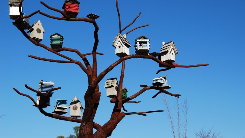 Zelfdragende vogelsculpturen: vogels als kunst in de voorjaarslucht